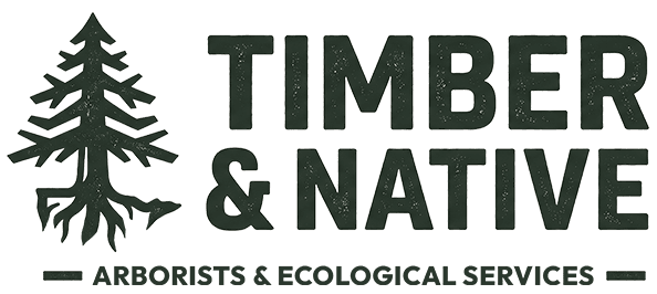 Timber & Native